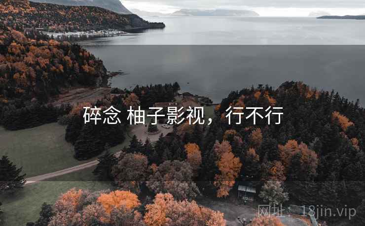 碎念 柚子影视，行不行