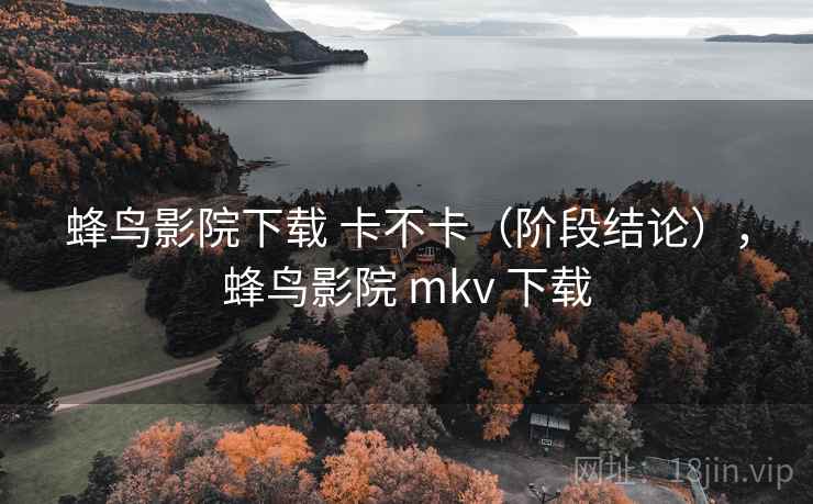 蜂鸟影院下载 卡不卡（阶段结论），蜂鸟影院 mkv 下载